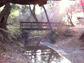 Foot bridge Rancho San Antonio, CA